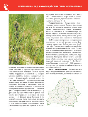 Красная книга Республики Беларусь. Растения. 5-е издание.